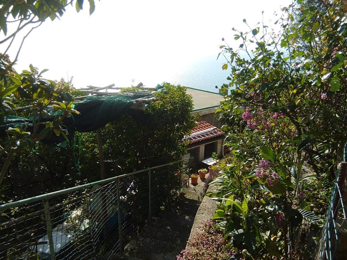 Giardino Sul Mare Apartment *